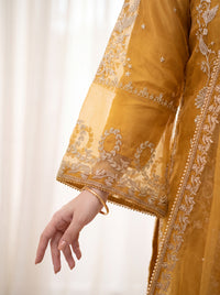 Zoya – 2-Piece Embroidered Organza Suit