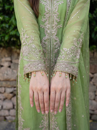 Abeer – 4-Piece Embroidered Organza Suit