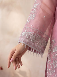 Noor – 2-Piece Embroidered Organza Suit