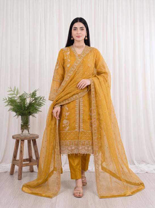 Zoya – 2-Piece Embroidered Organza Suit