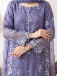 Elara – 2-Piece Embroidered Organza Suit